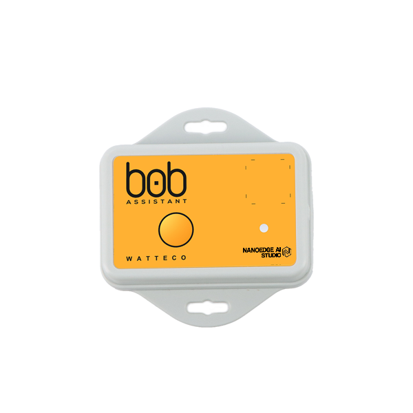 50-80-004 BOB Smart Assistant EU868 V2 ATEX Zone 2